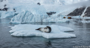 WSPC March 20th Presentation  – Pierre Richard – Antarctica and Sub-Antarctic Islands