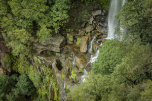A too brief visit of New Zealand and East Australia