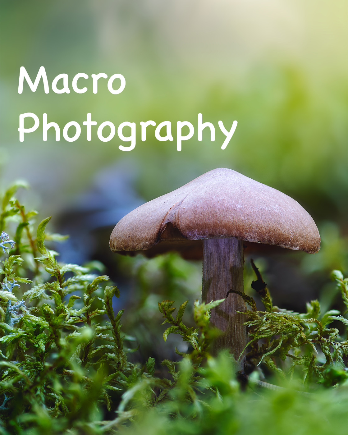 Macros and Nature