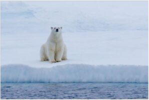 The Northwest Passage: Greenland to Alaska