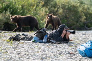 Bears and more…