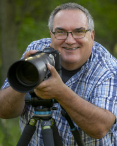 Using Mirrorless Cameras for Bird Photography
