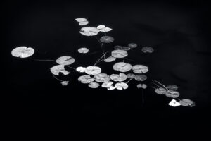 “EXPLORING MONOCHROME – Art and Techniques” (Mike Grandmaison)