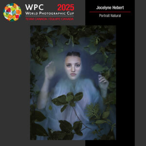 “Behind the Story-A Journey from Concept to Completion” (Jocelyne Hebert)