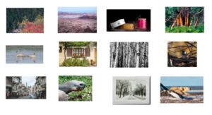 “Members Exhibit at Charleswood Library”