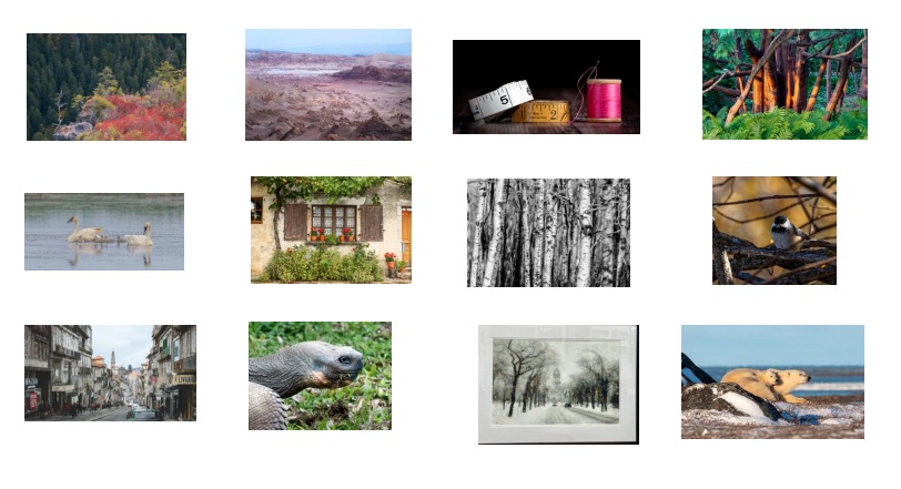 “Members Exhibit at Charleswood Library”