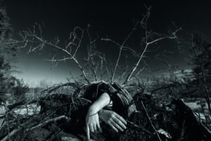 “Projects in Environmental Photography” (Sam Baardman)
