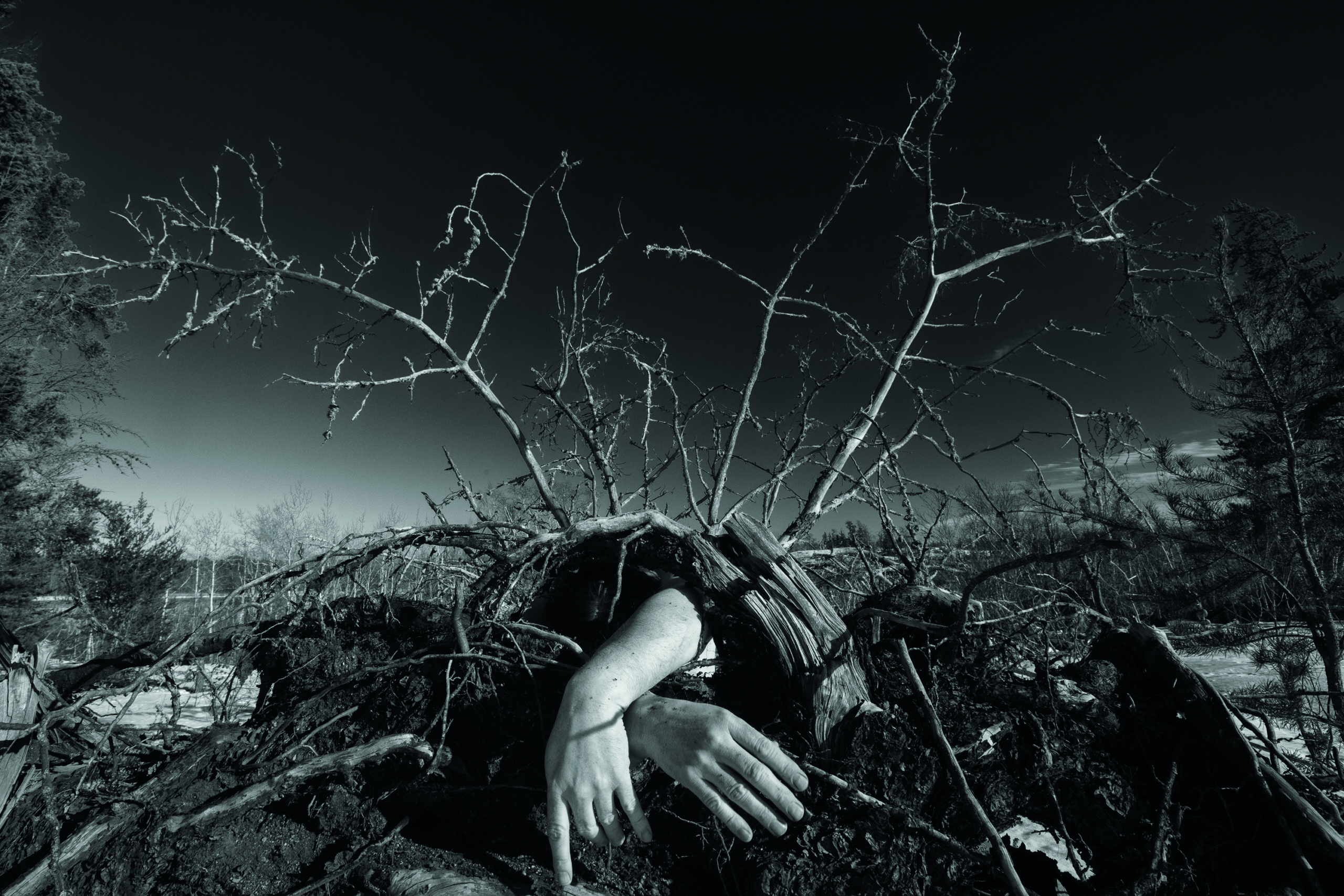 “Projects in Environmental Photography” (Sam Baardman)